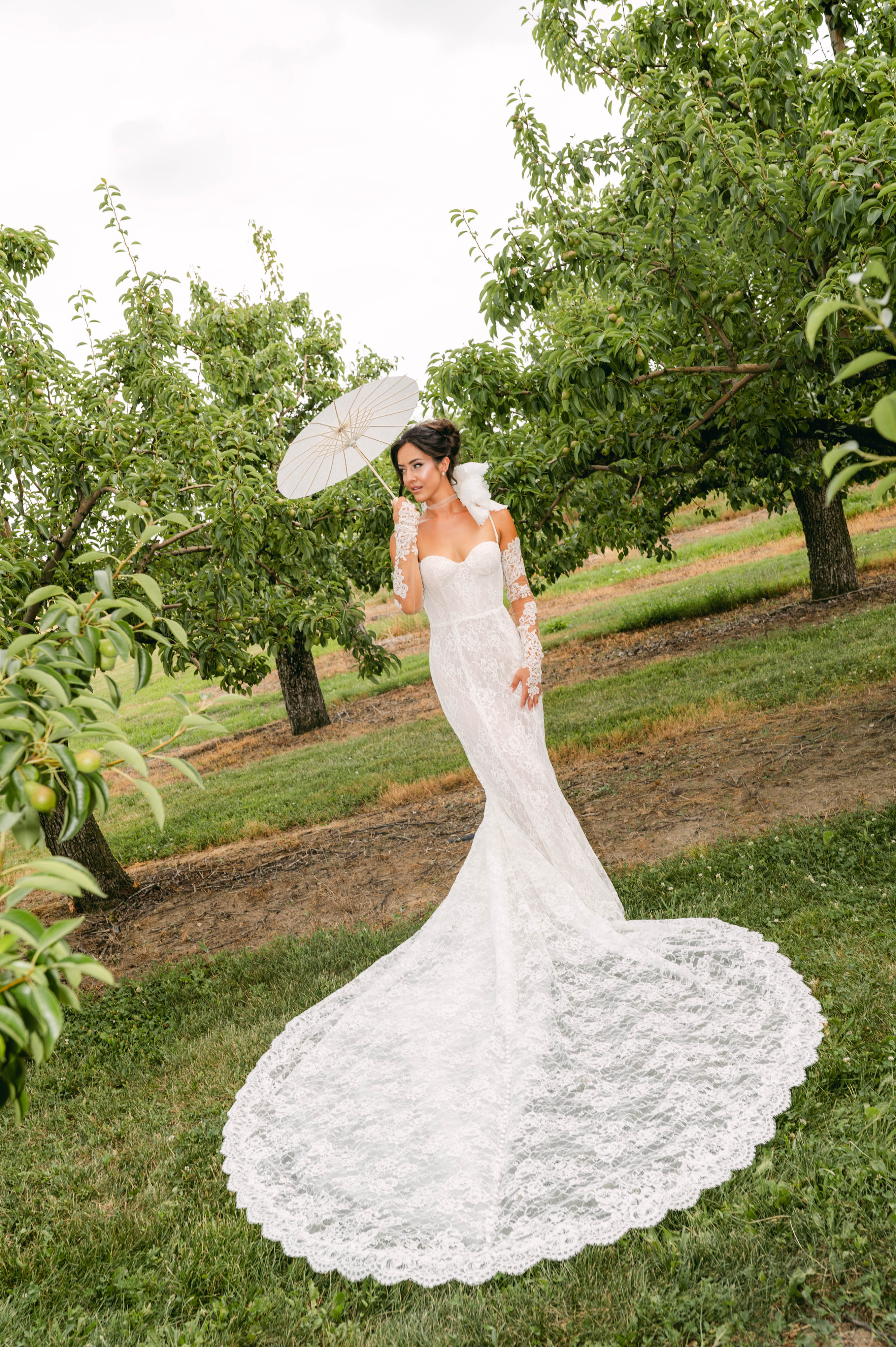 Bride in a lace gown with parasol between rows of the estate's peach orchard at Sorella 1881