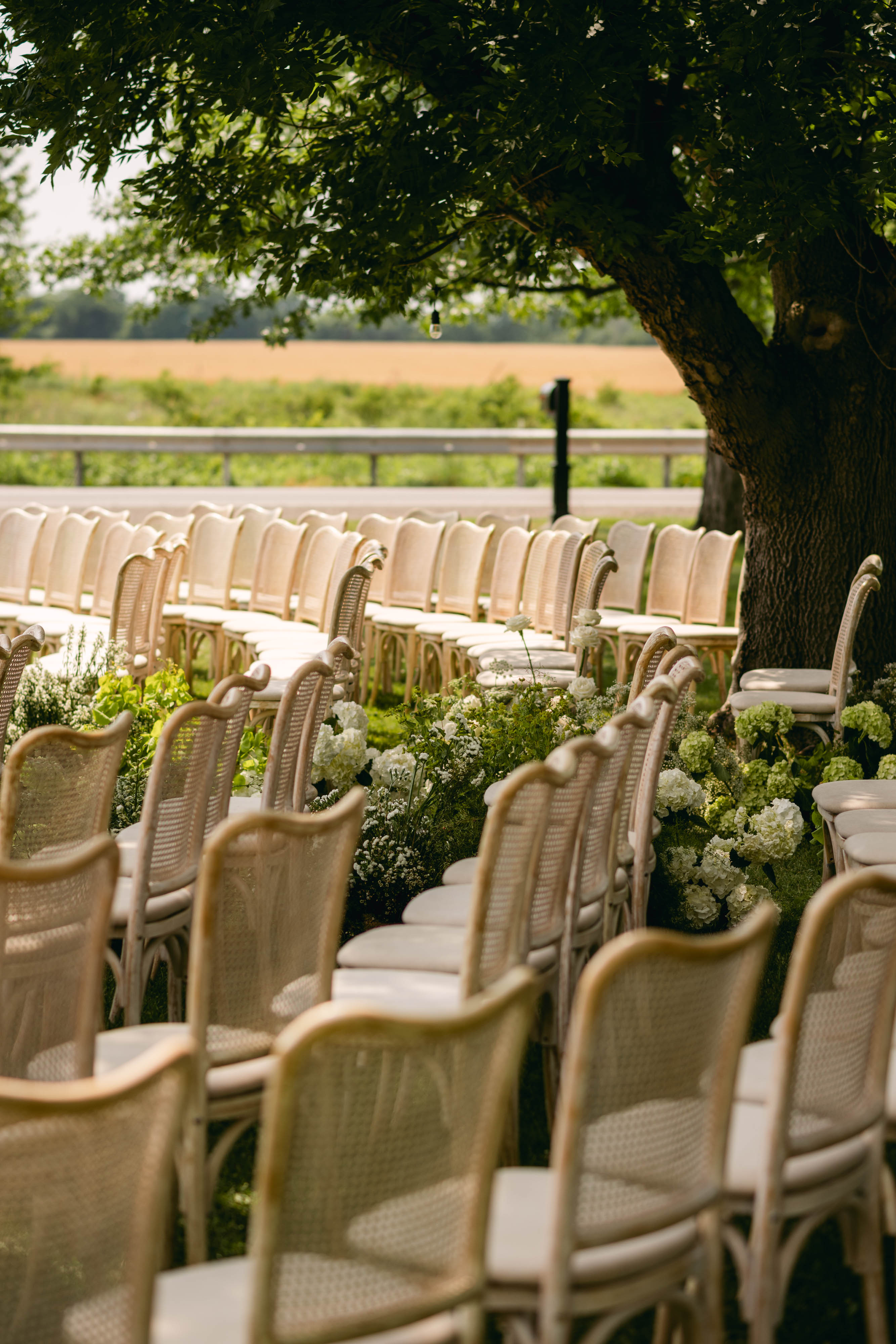 Rows of cane ceremony chairs beneath a mature tree with rolling farmland beyond at Sorella 1881