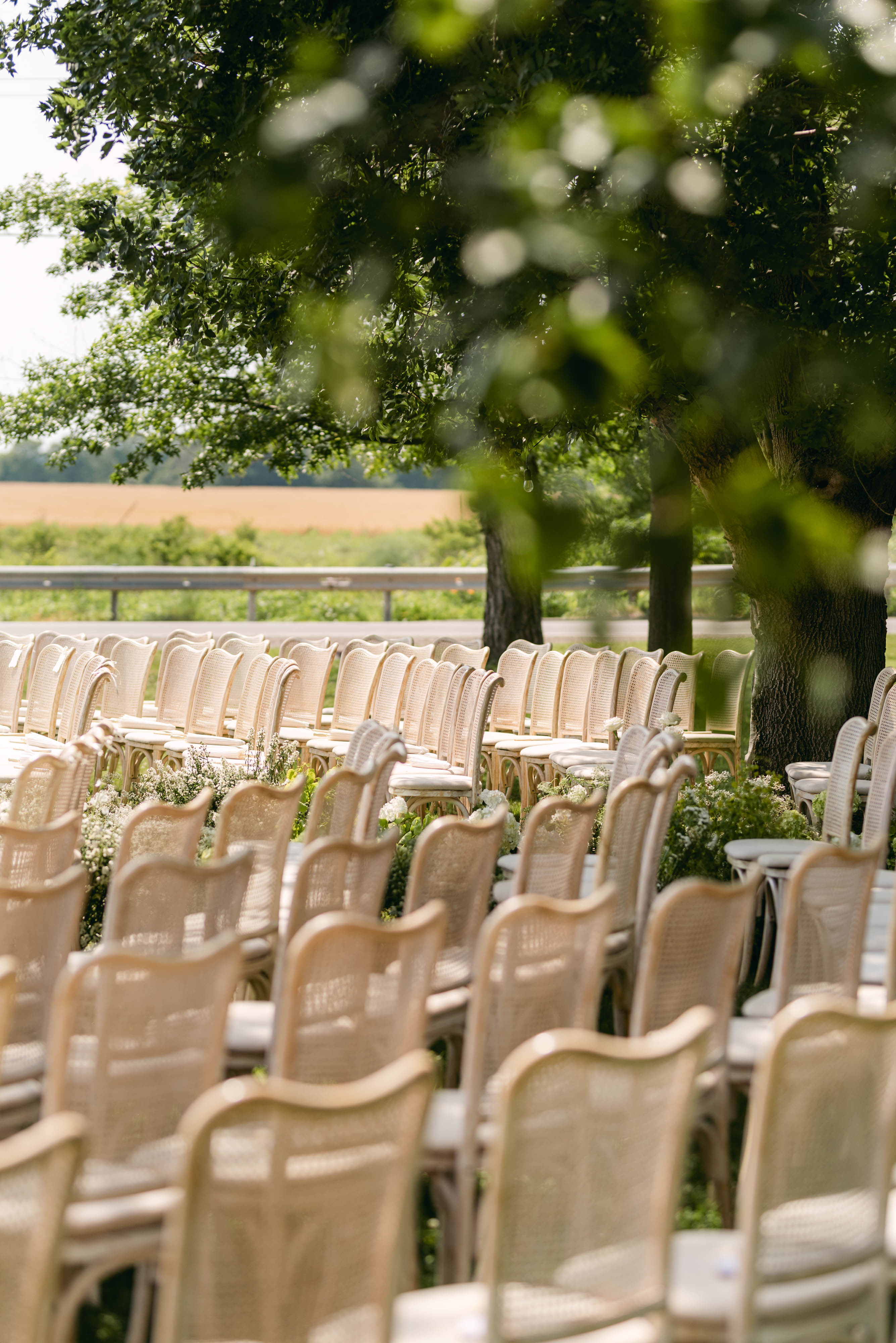 Close view of cane ceremony chairs with hydrangea arrangements beneath a summer tree at Sorella 1881