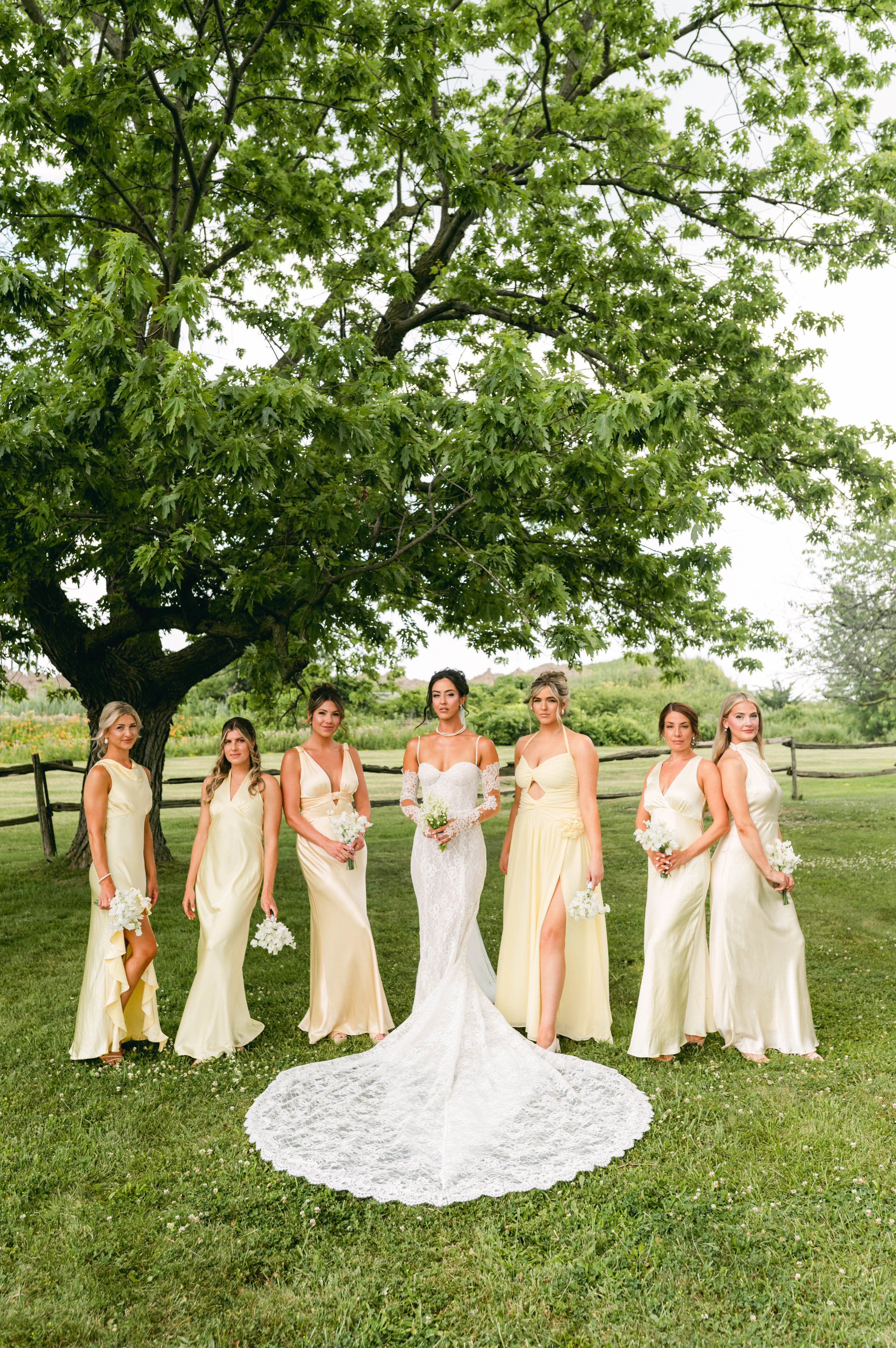 Bride and bridesmaids in pale yellow dresses standing under a grand tree on the Sorella 1881 estate