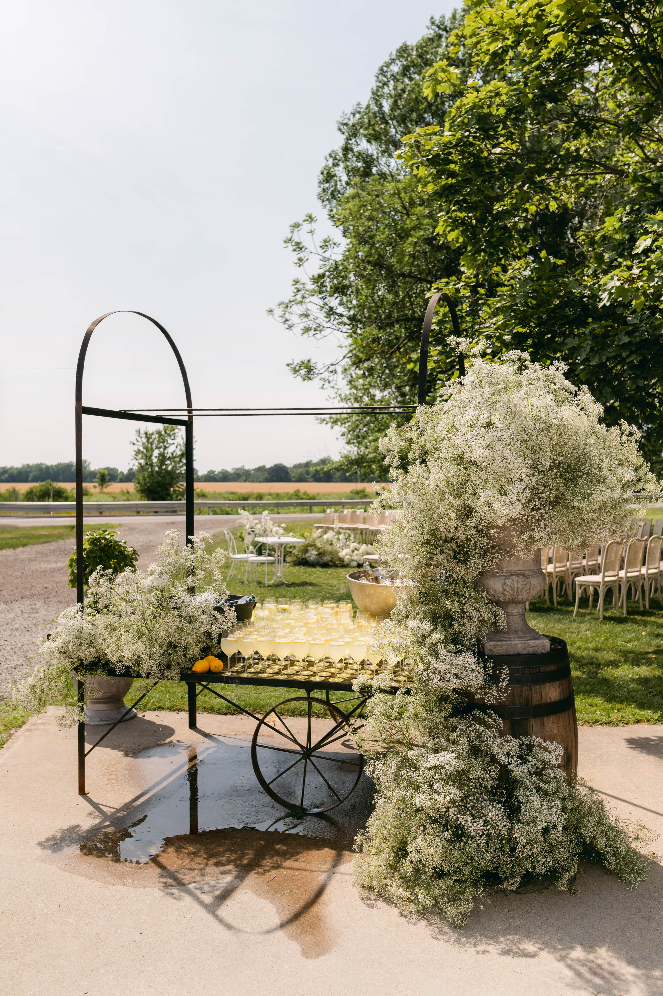 Bar cart with lemon champagne coupes and cascading baby's breath in the courtyard at Sorella 1881
