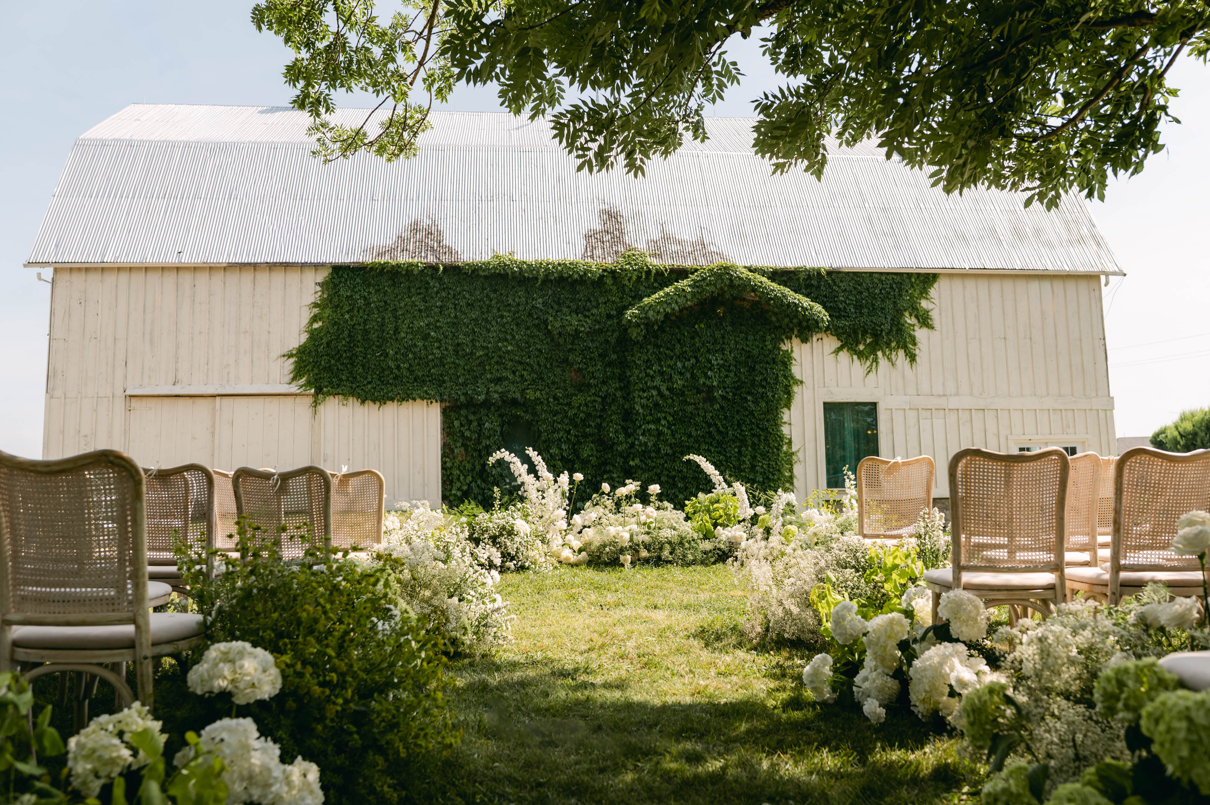Ivy-covered barn ceremony aisle at Sorella 1881, white florals and rattan chairs