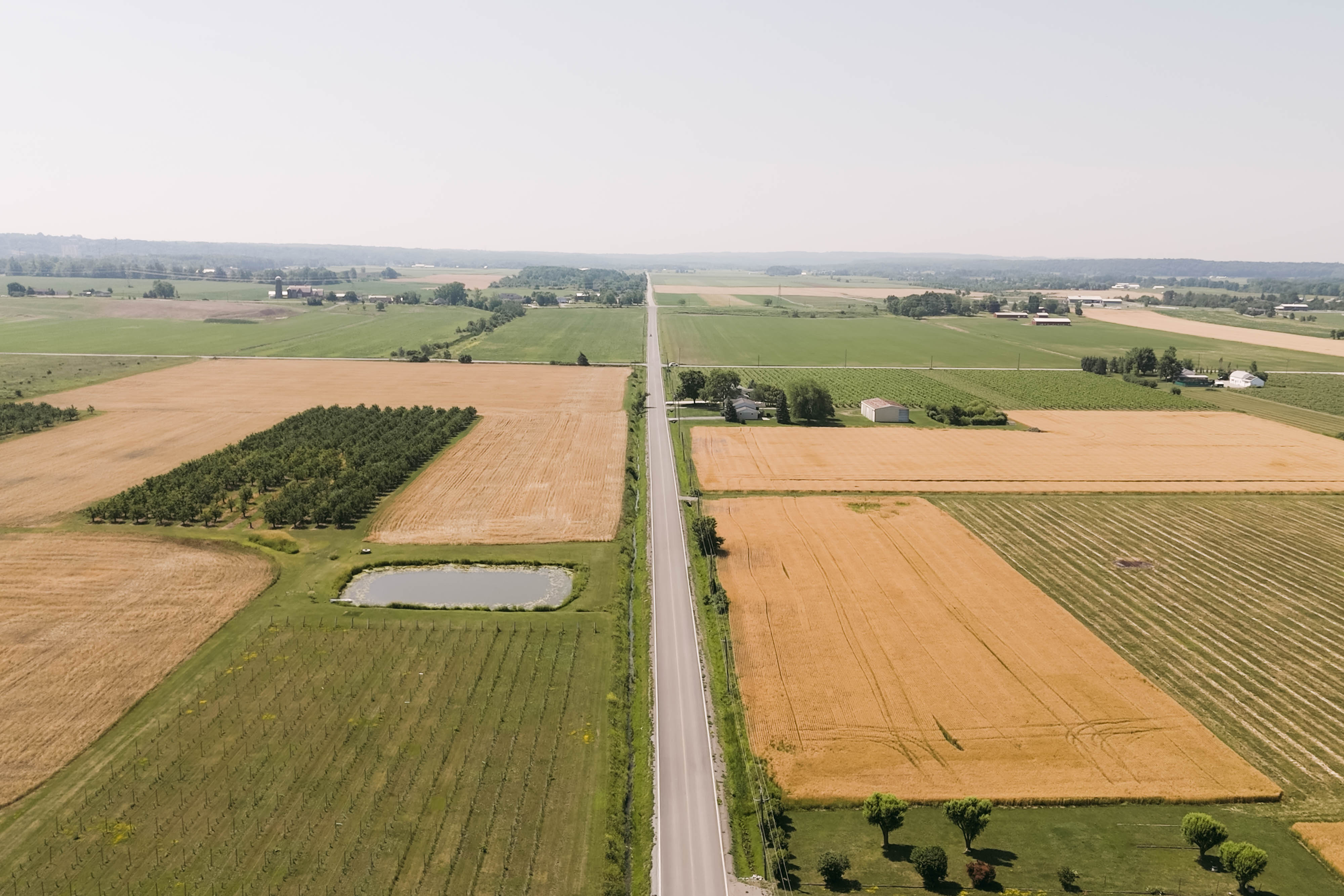 Aerial view of Sorella 1881 estate and surrounding Niagara farmland — orchard, vineyard, and rolling fields