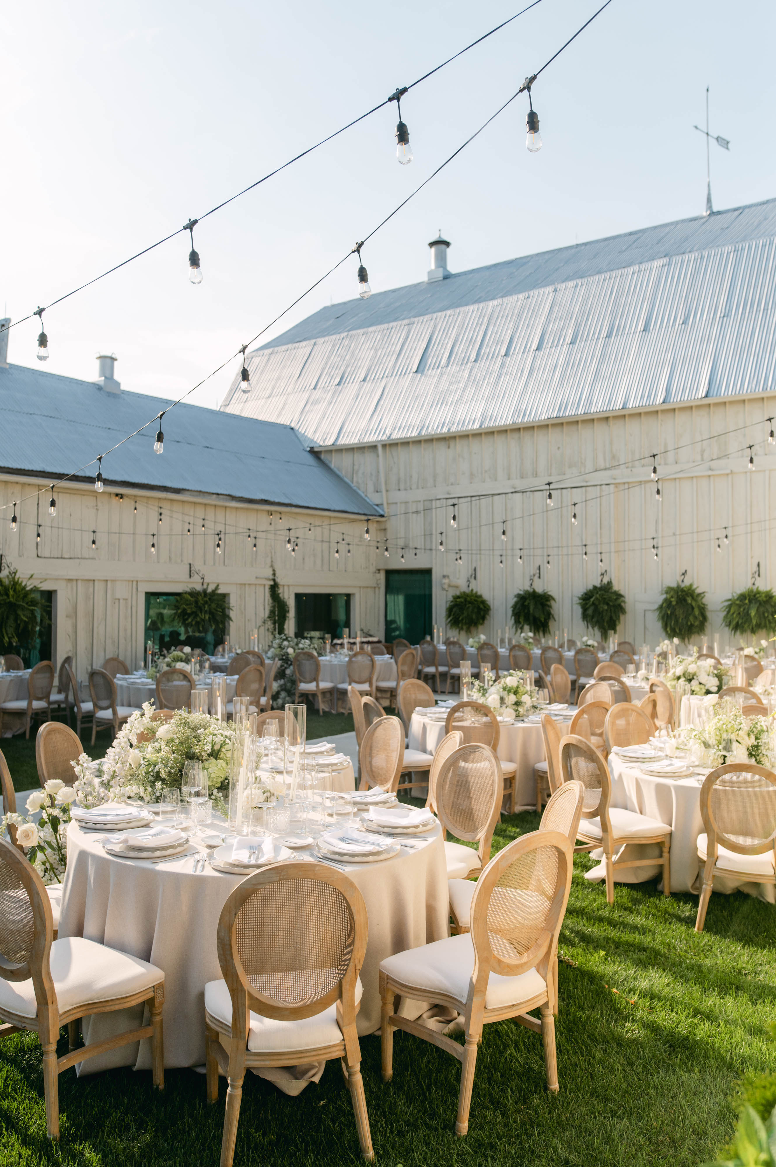 The Sorella 1881 courtyard set for reception — cane chairs, hanging ferns, and the historic barn beyond