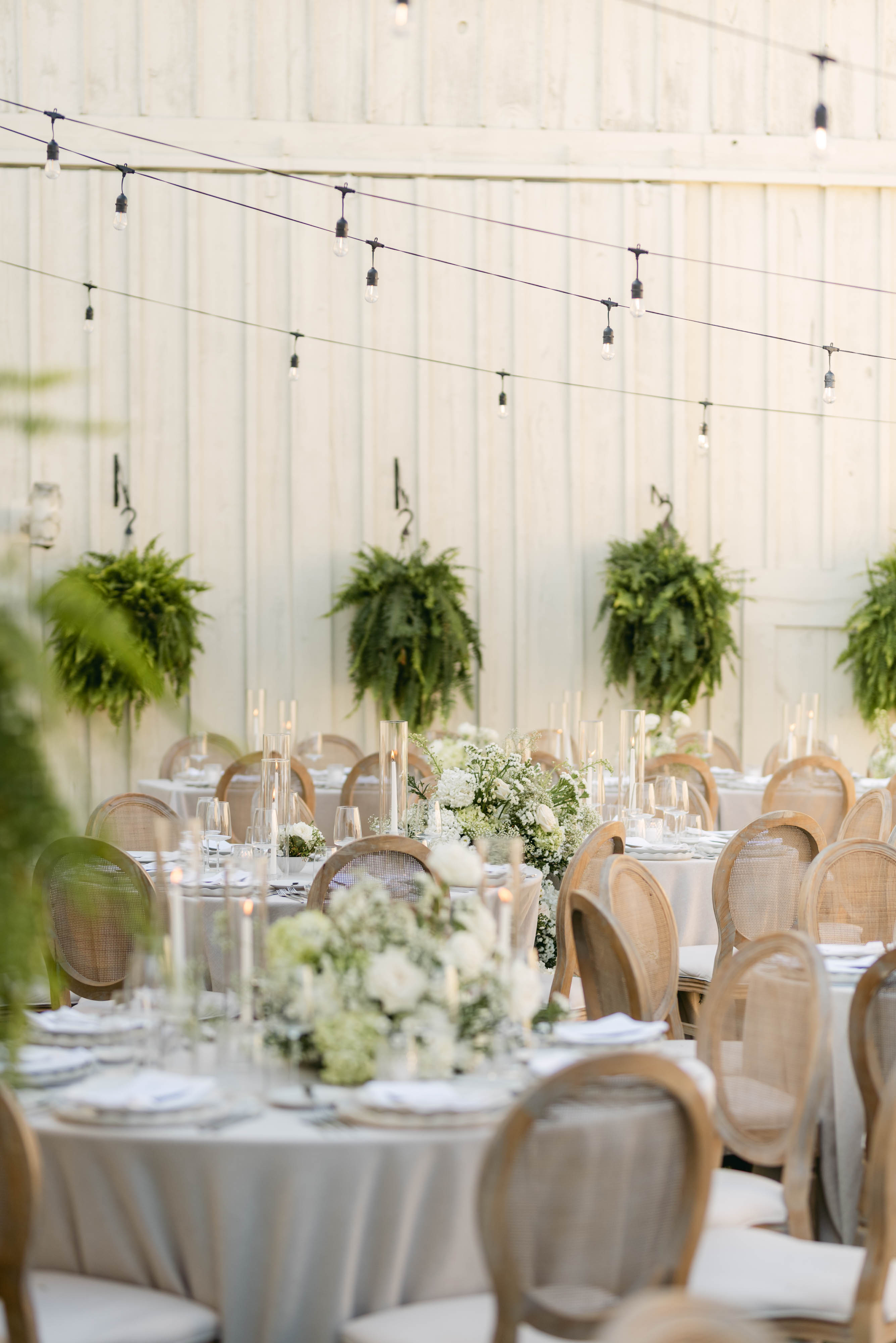 Courtyard reception at Sorella 1881 — white florals, cane chairs, hanging ferns, and string lights