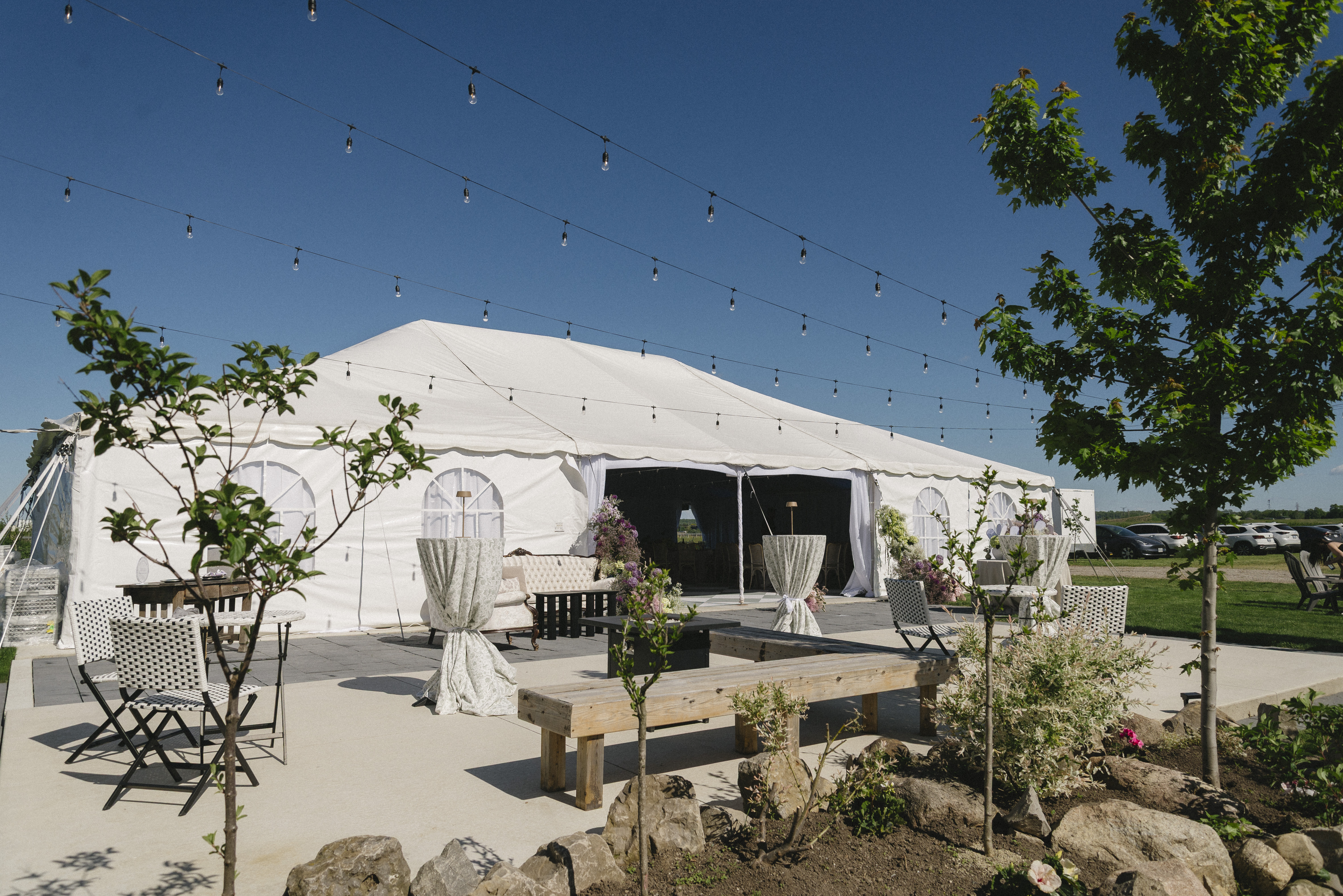 Blanc Marquee at Sorella 1881 seen from the stone terrace, framed by young maple trees and string lights